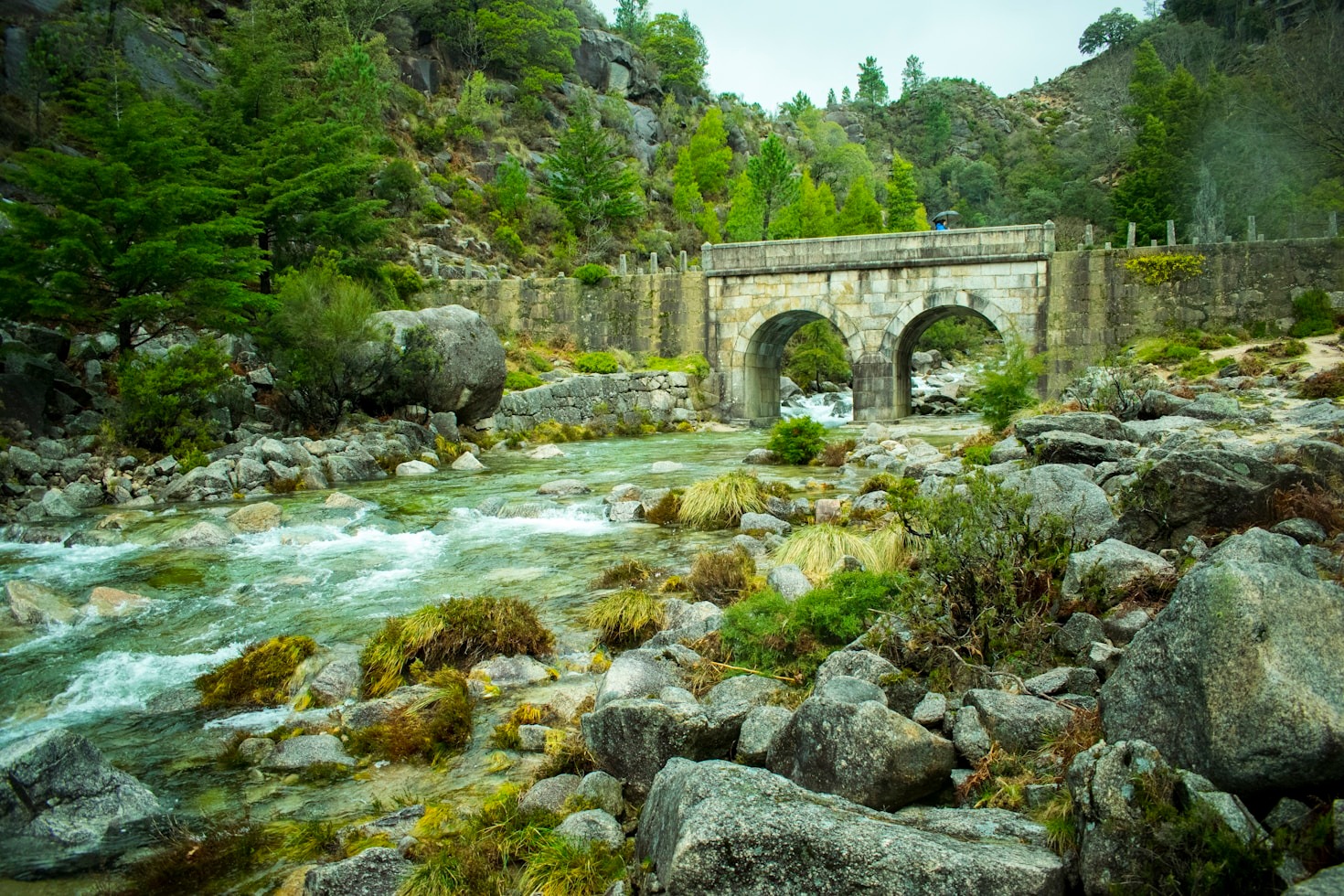 A fauna e flora únicas que vai encontrar no Gerês